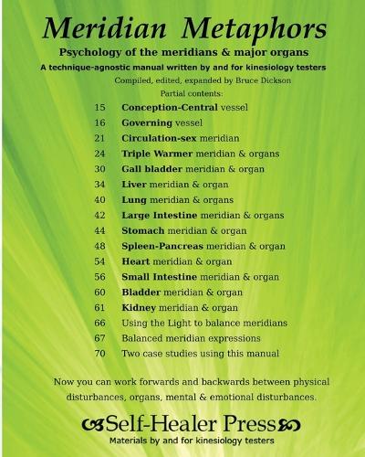Meridian Metaphors: Psychology of the meridians and major organs(Best Practices in Energy Medicine)