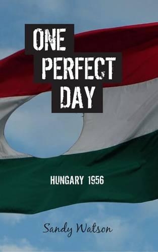 One Perfect Day