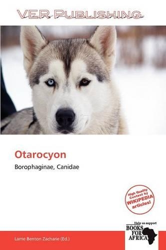 Otarocyon