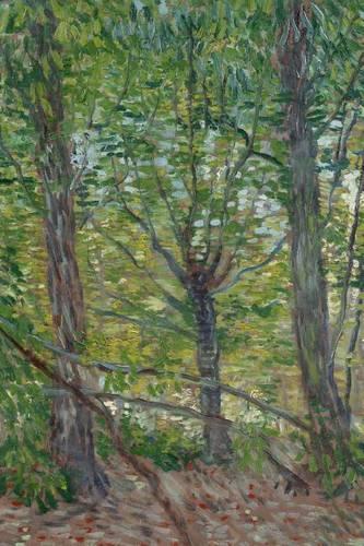 Trees, Vincent Van Gogh: Blank Journal / Notebook / Composition Book, 140 Pages, 6 X 9 Inch (15.24 X 22.86 CM) Laminated(English)