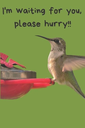 Hummingbird Blank Lined Journal: A Notebook, Daily Dairy, Gift Idea for Hummingbird Lovers!! Keep Track of Your Sightings!