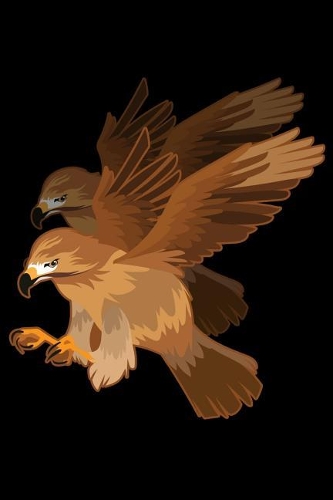 Bird Journal Notebook: Bold Eagle USA Freedom Bird watching Notebook Ornithology Journal for coworkers and students, sketches ideas and To-Do lists, Medium College-ruled n