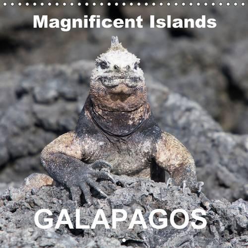 Galapagos magnificent islands 2016