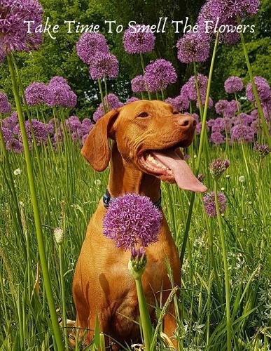 Take Time to Smell the Flowers