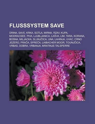 Flusssystem Save
