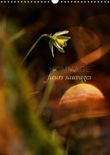 Hommage Fleurs Sauvages 2017