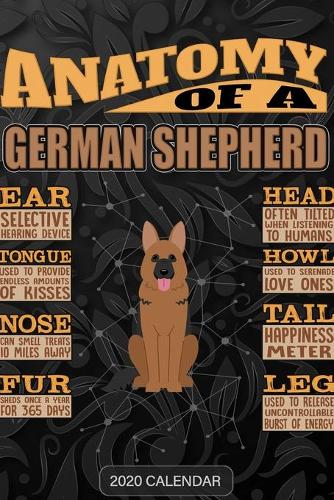 Anatomy Of A German Shepherd