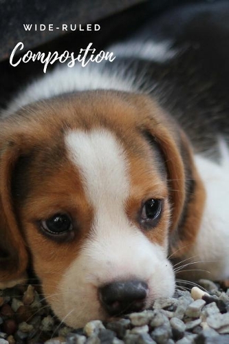 Composition Notebook: : Wide-Ruled