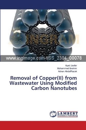Removal of Copper(II) from Wastewater Using Modified Carbon Nanotubes