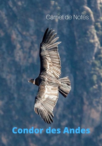 Carnet de Notes Condor des Andes: Condor des Andes - Grand format - 7 x 10 pouces - Pour tous les passionnés et amoureux de ce grand et bel oiseau, le majestueux Condor des Andes.