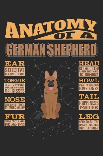 Anatomy Of A German Shepherd
