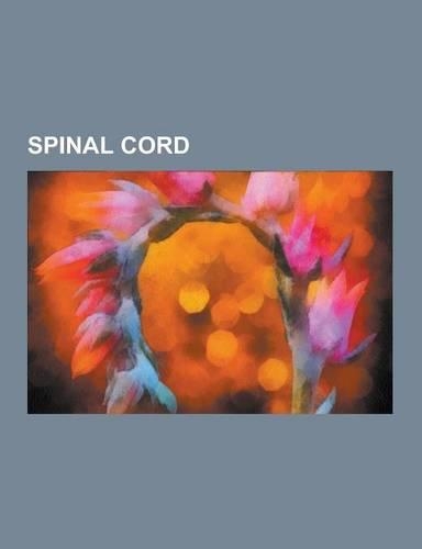 Spinal Cord