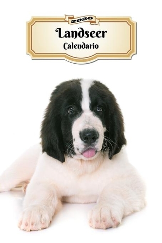 2020 Landseer Calendario