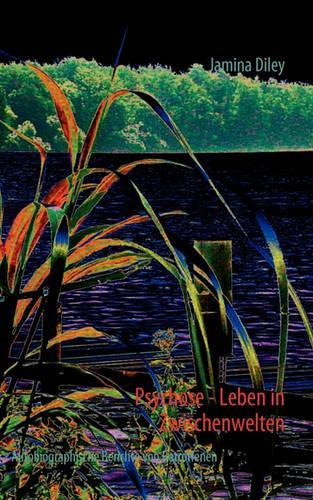 Psychose - Leben in Zwischenwelten: (German)