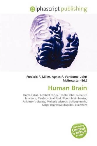Human Brain