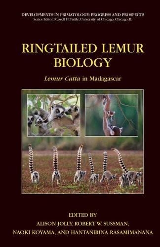 Ringtailed Lemur Biology: Lemur Catta in Madagascar