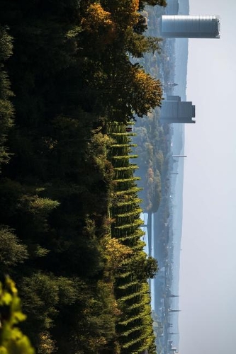 Countryside Just Outside Bonn, Germany Journal