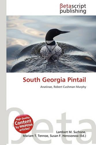 South Georgia Pintail: (English)