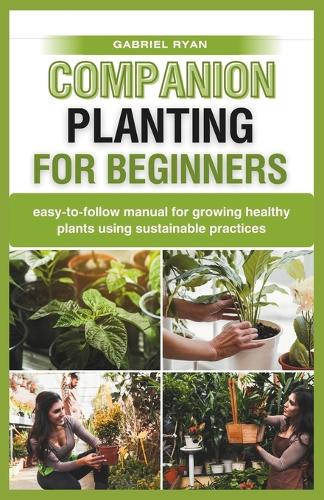 companion planting for beginners