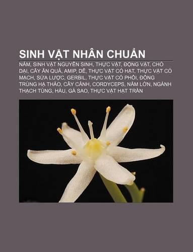 Sinh V T Nhan Chu N