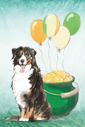 Bernese Mountain Dog