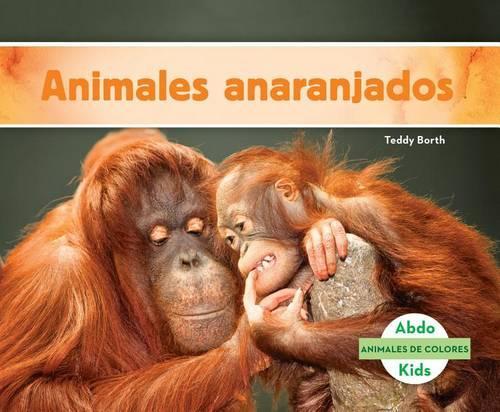 Animales Anaranjados / Orange Animals