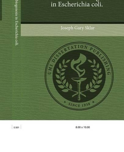 Outer Membrane Biogenesis in Escherichia Coli.: (English)