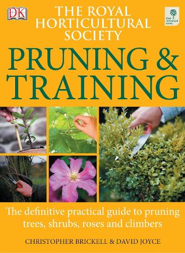 RHS Pruning & Training