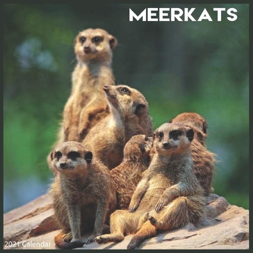 Meerkats 2021 Calendar: Official Meerkat 2021 Wall Calendar