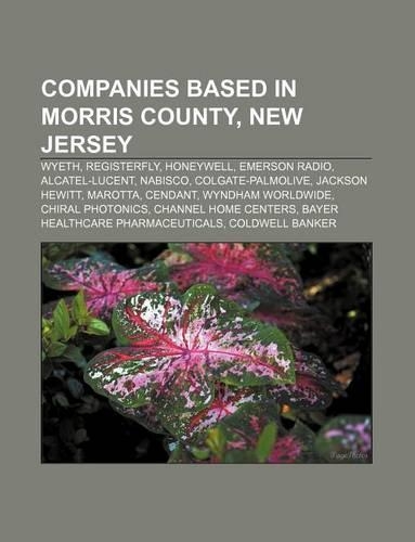 Companies Based in Morris County, New Jersey: Wyeth, Registerfly, Honeywell, Emerson Radio, Alcatel-Lucent, Nabisco, Colgate-Palmolive(English)