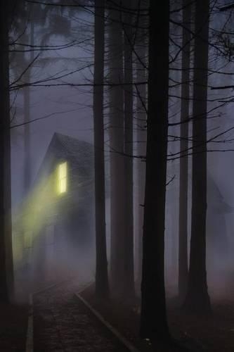 Dark Woods Path Journal: 365 page Journal Notebook Diary(Mystery 365 Lined)