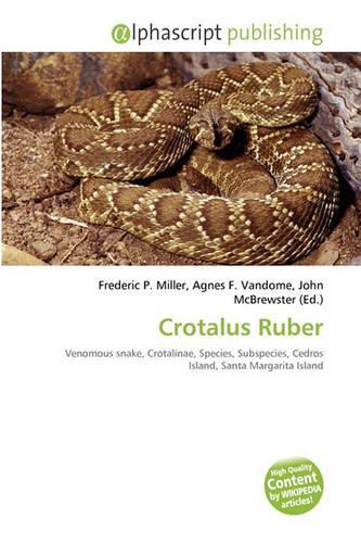 Crotalus Ruber