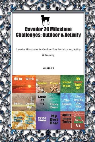 Cavador 20 Milestone Challenges
