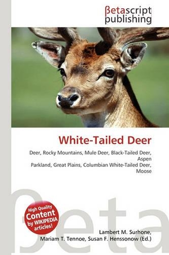 White-Tailed Deer: (English)