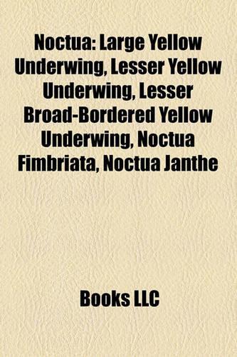 Noctua: Large Yellow Underwing, Lesser Yellow Underwing, Lesser Broad-Bordered Yellow Underwing, Noctua Fimbriata, Noctua Janthe(English)