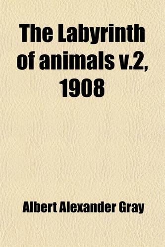 The Labyrinth of Animals (Volume 2); Including Mammals, Birds, Reptiles and Amphibians