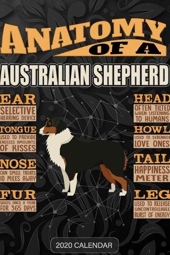 Anatomy Of A Australian Shepherd