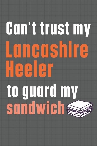 Can't trust my Lancashire Heeler to guard my sandwich: For Lancashire Heeler Dog Breed Fans