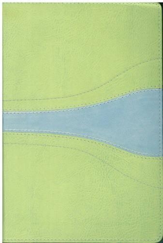 NIV Student Bible: New International Version, Light melon/Sky Blue Italian Duo-tone(English)