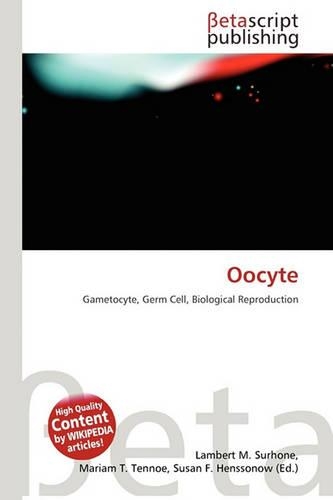 Oocyte