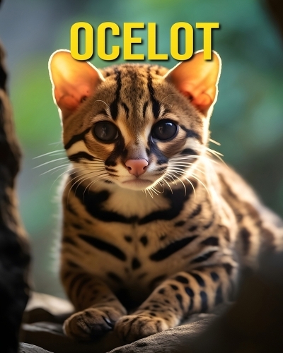 Ocelot