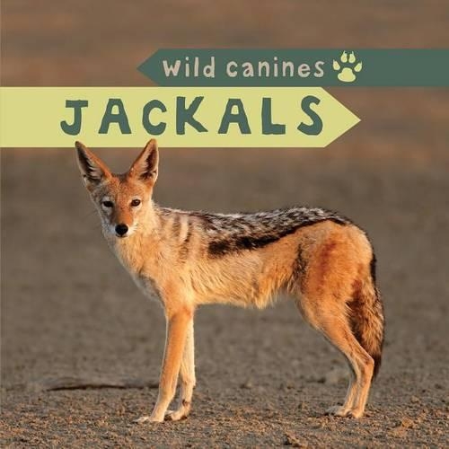 Jackals: (Wild Canines)