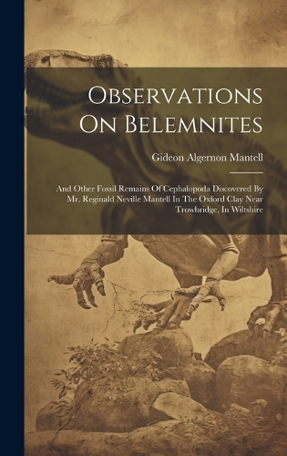 Observations On Belemnites