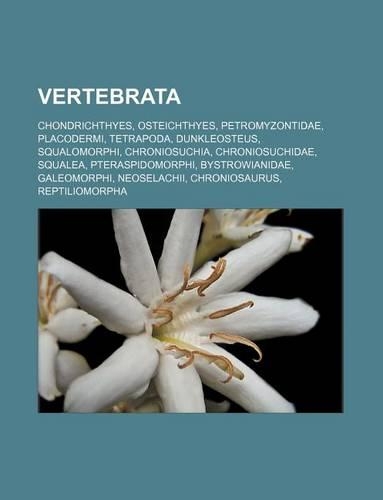 Vertebrata