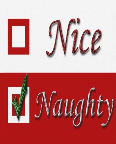 Nice Naughty Santa Claus Christmas List School Comp Book 130 Pages