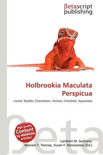 Holbrookia Maculata Perspicua