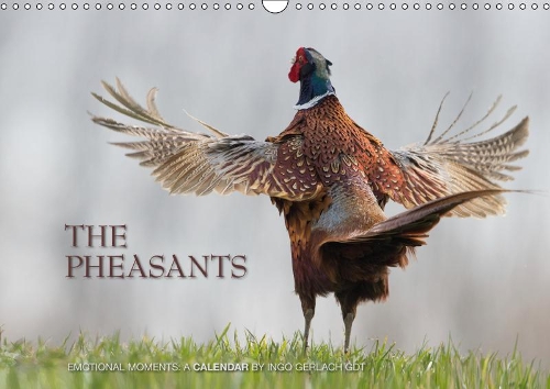 Emotional Moments: The pheasants. UK-Version 2019