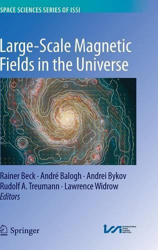 Large-scale Magnetic Fields in the Universe
