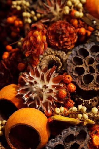 A Lovely Autumn Vignette of Dried Flowers and Pods Journal