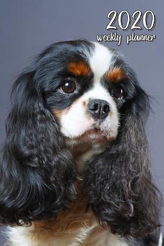 2020 Weekly Planner: 6 X 9 In. Cavalier King Charles Spaniel 52 Weekly Calendar Schedule Organizer Appointment Journal Notebook for Spaniel Fans